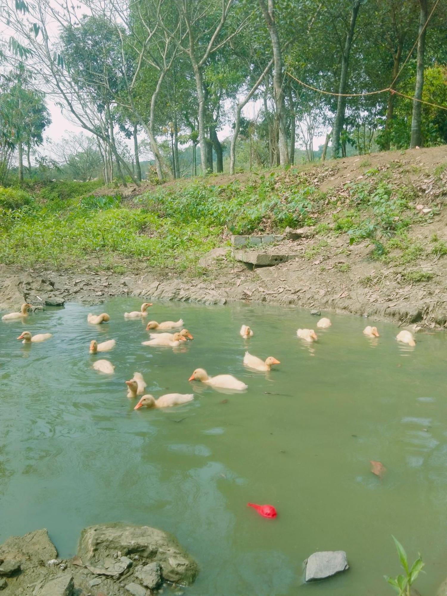 Ninh Binh Friendly Homestay エクステリア 写真